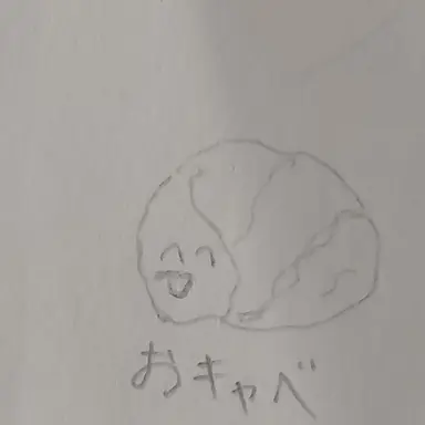 Profile image of キャベツ