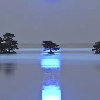 Profile image of パク・スルギ