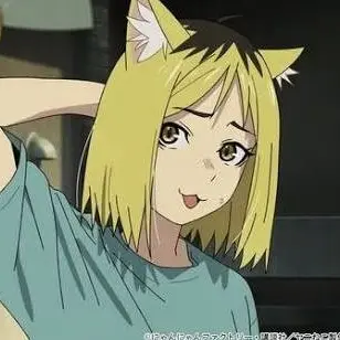 Profile image of ヤクねこ
