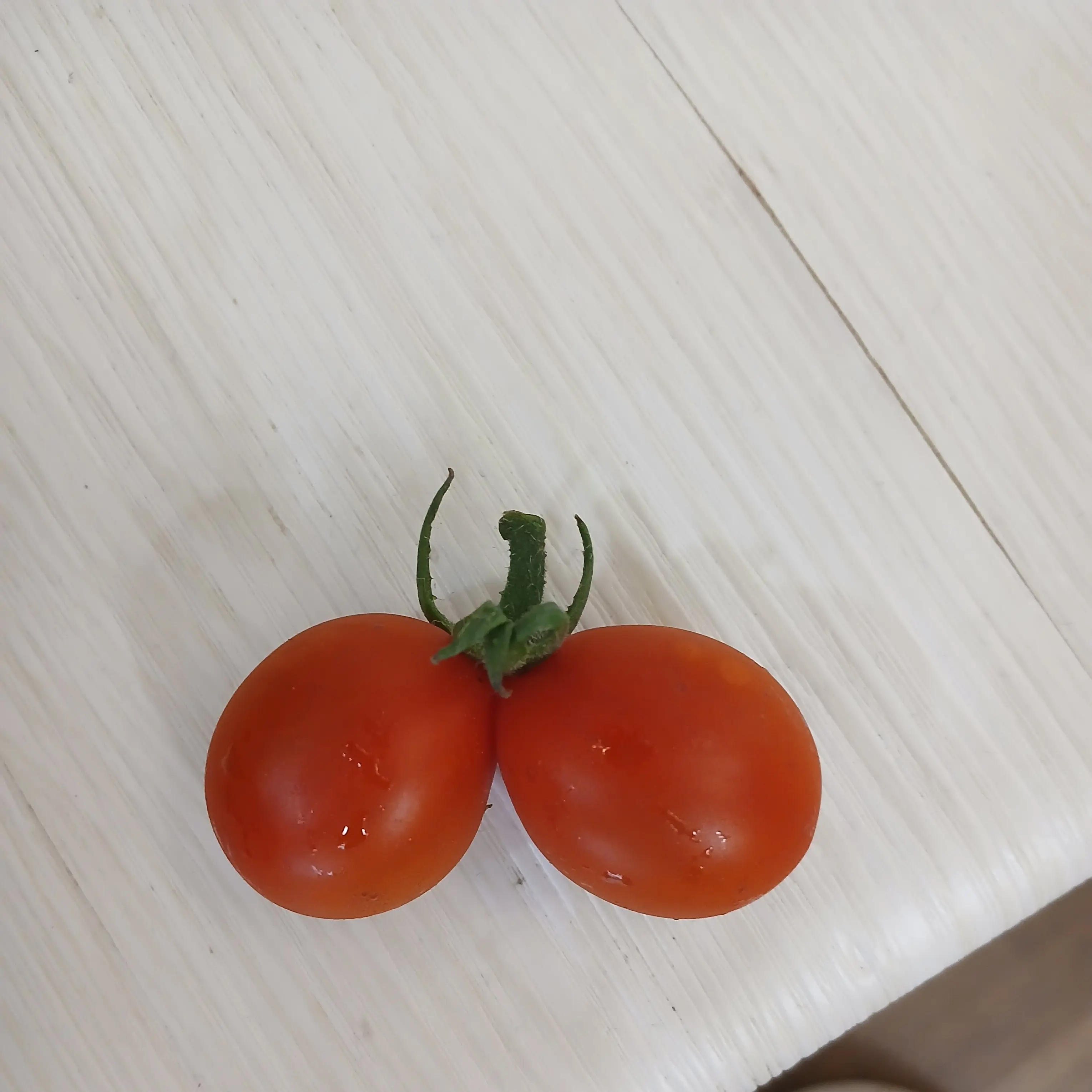 OrangeRobin2324의 개울가의 아이들