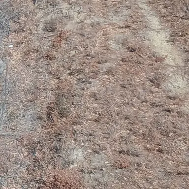 Profile image of 최강국