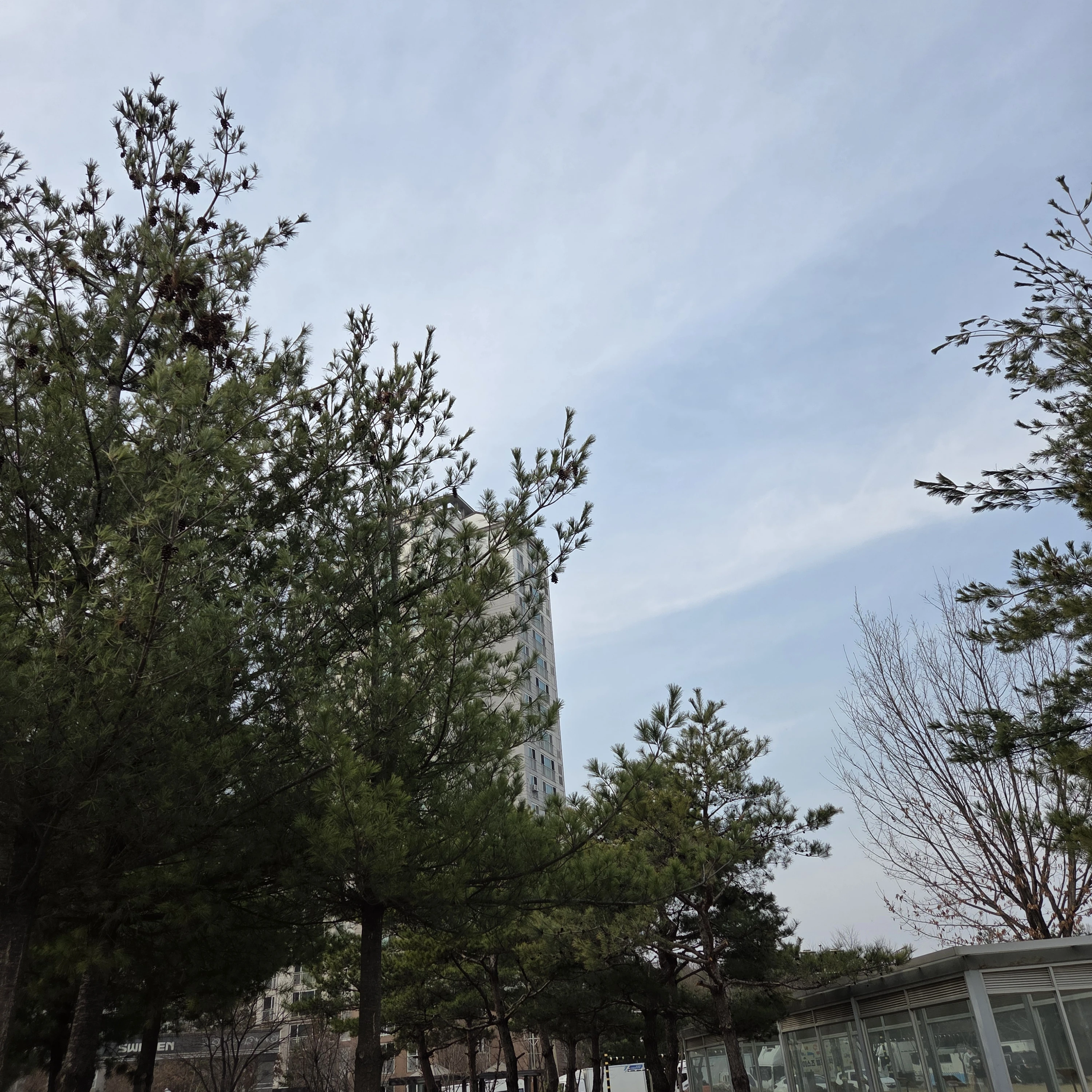김운핡