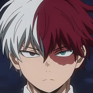 Profile image of Todoroki