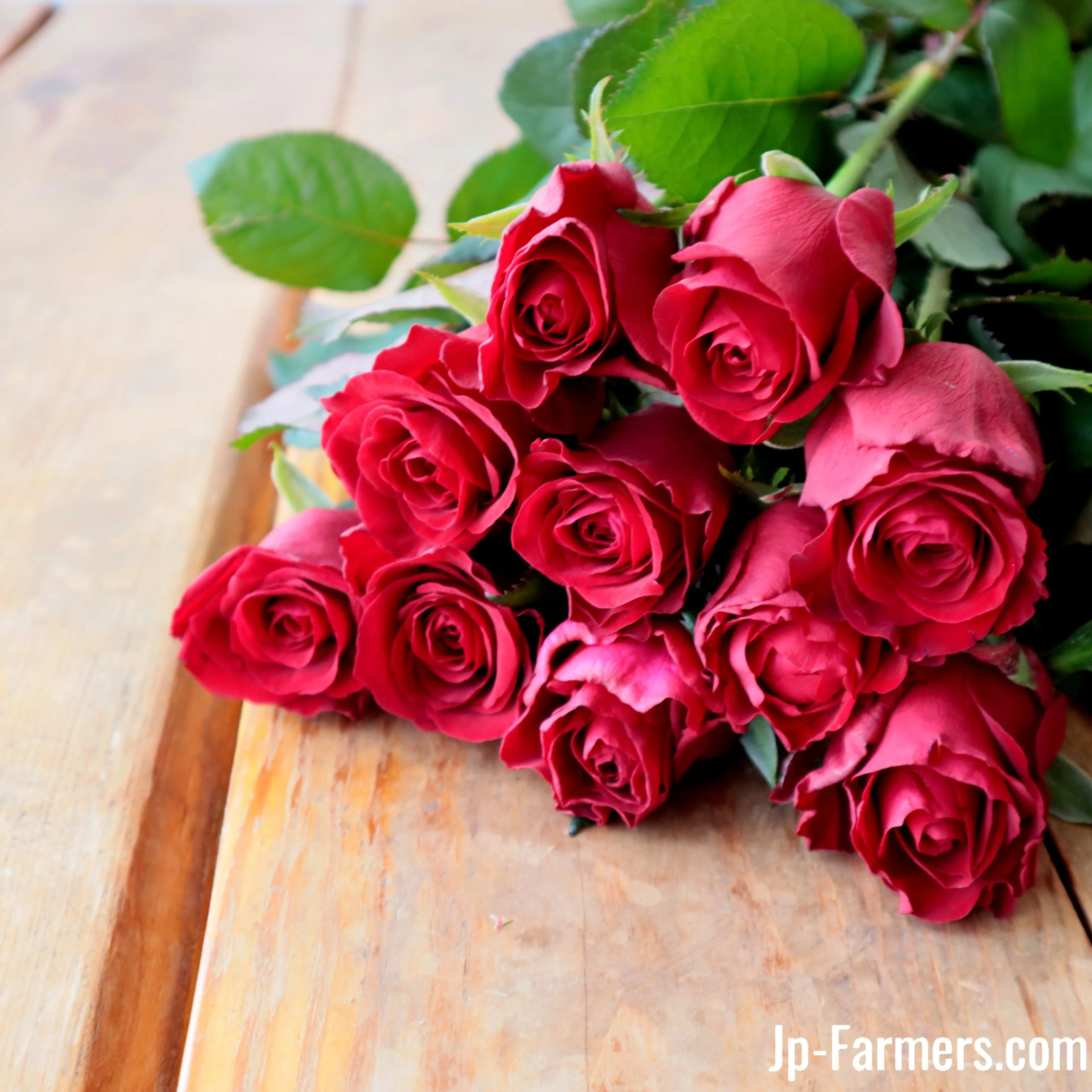 VioletJam2373의 Hey! Say! JUMPに会える？！