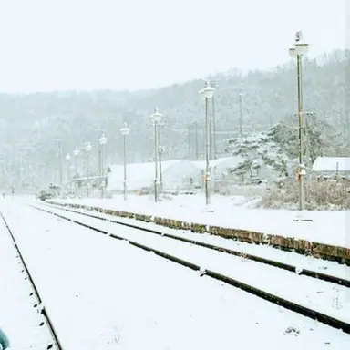 Profile image of ジミン