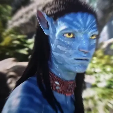 Profile image of 네테이얌