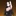 거미