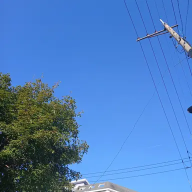 Profile image of ㄱㅇㅎ