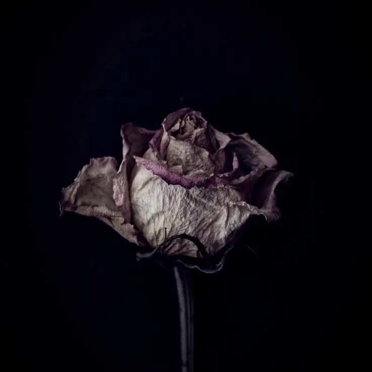 SuperbBack3921의 あ