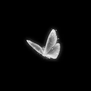 Profile image of 박 성 호