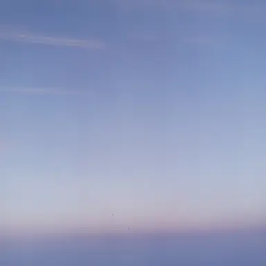 Profile image of 세봉쓰