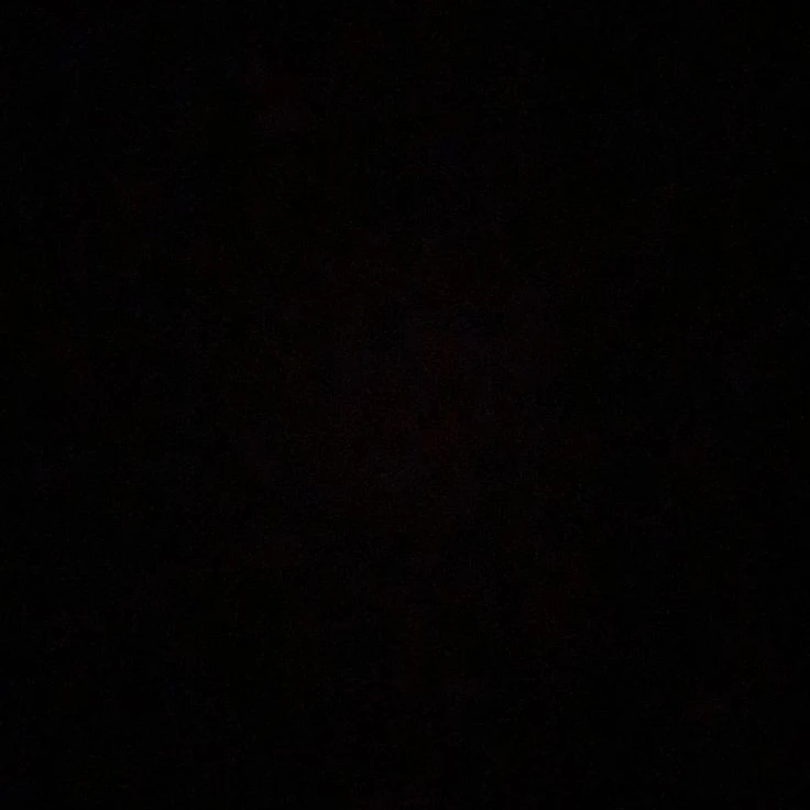 정재현