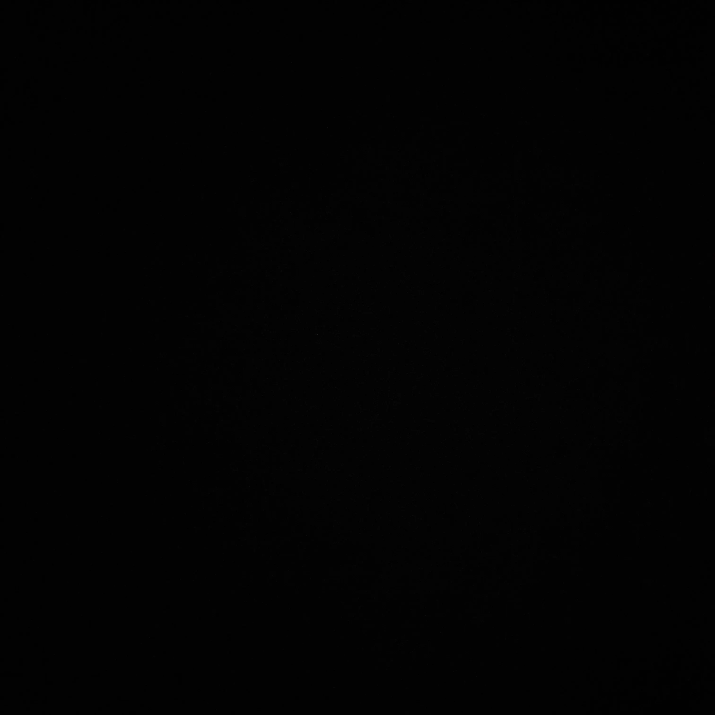1234.0329의 꽁냥즈 키우기.