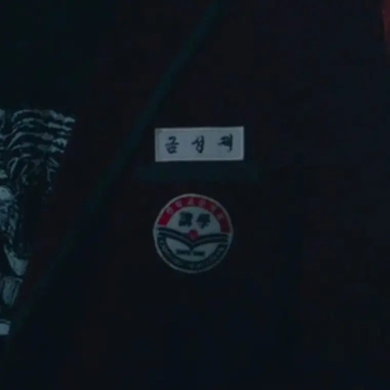 WellDress8534의 금성제