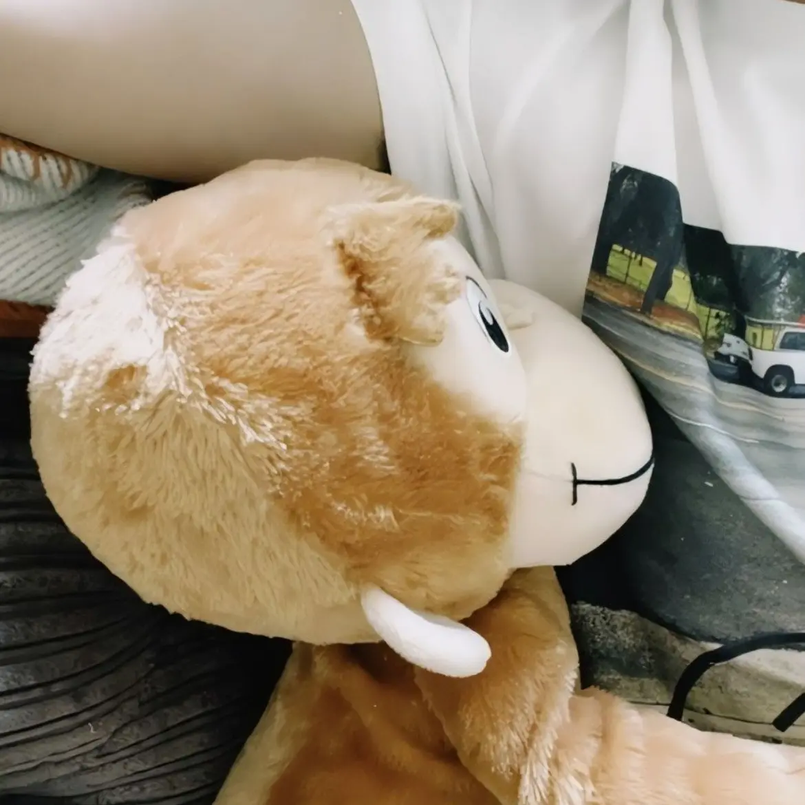 _lina02의 推しと遭遇  ! ?