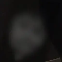 Profile image of ぶり子