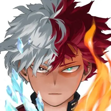 Profile image of Todoroki