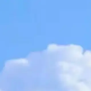Profile image of 사이키의 팬클럽