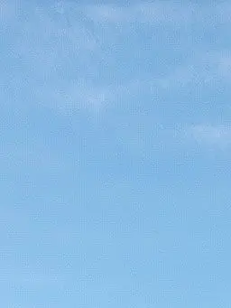 Mitarashidanngo의 なんかいる〜〜！！！！