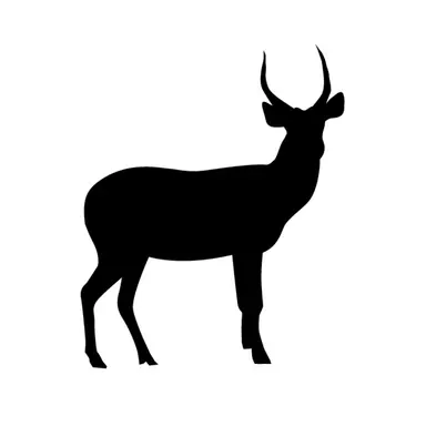 Profile image of ジェームズ