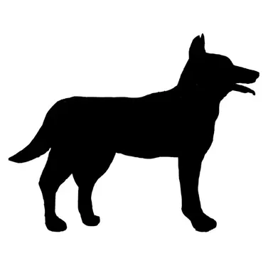 Profile image of シリウス