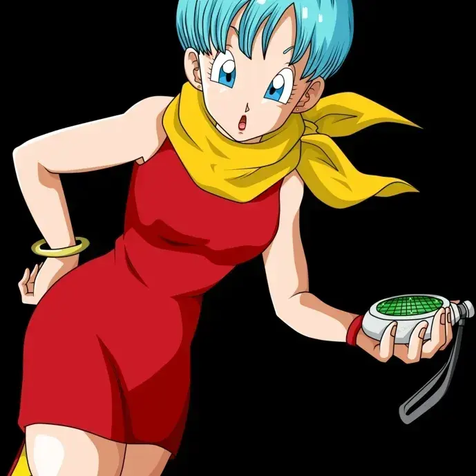 QuietSkin6207의 Bulma Briefs