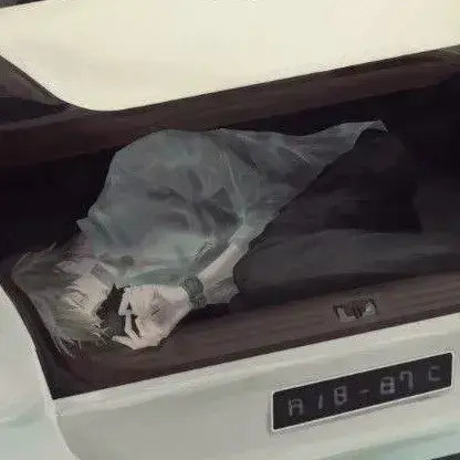 TartanEider4582의 Elias