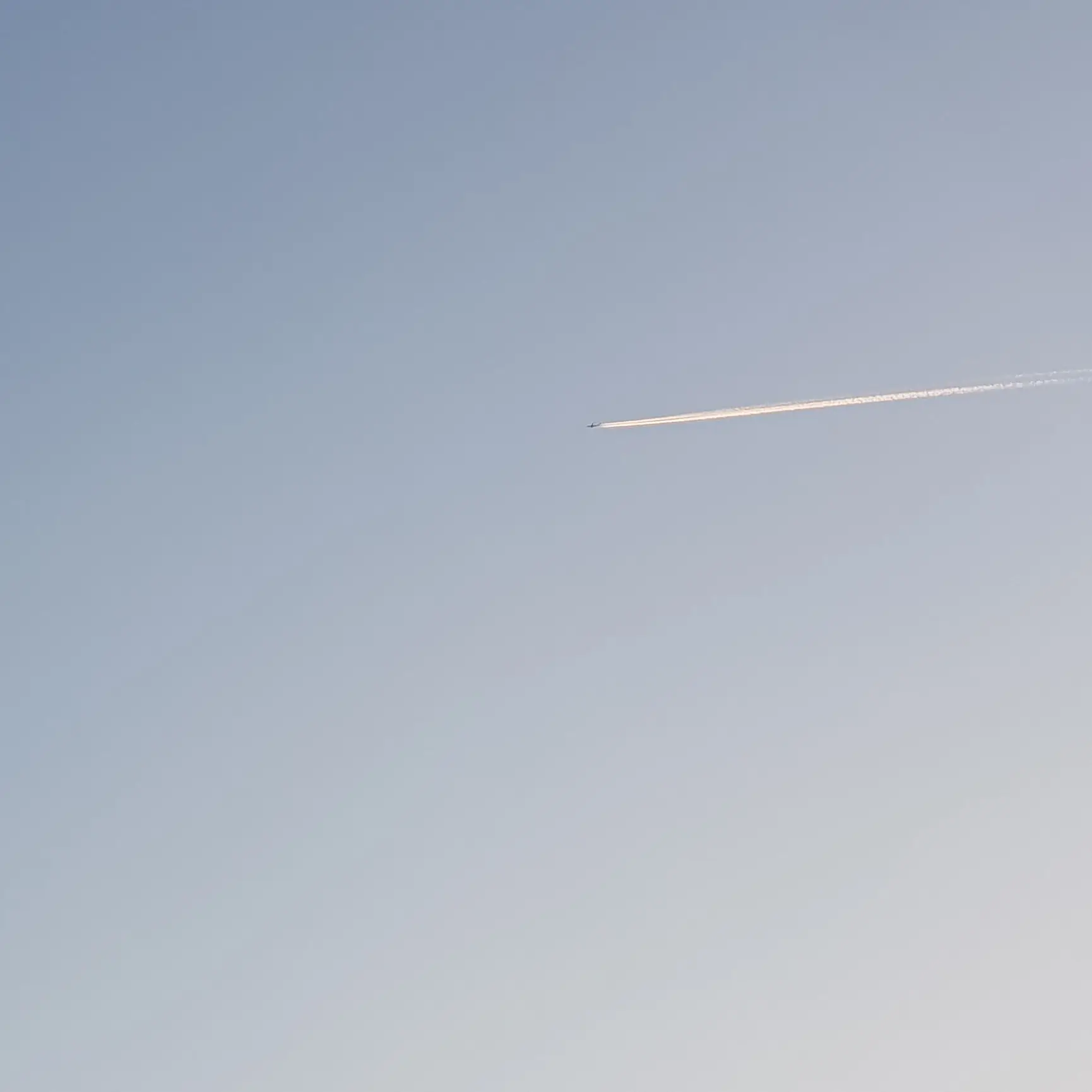 skzloveee의 황현진