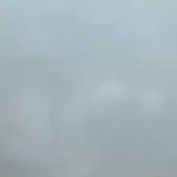 WindyCopy7248의 크루거