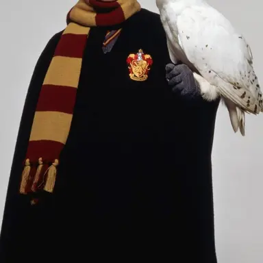 Profile image of 해리포터