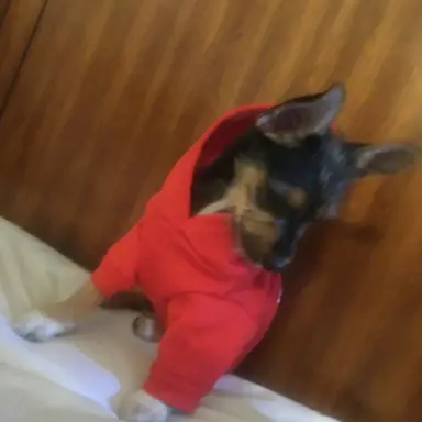 Profile image of Lala