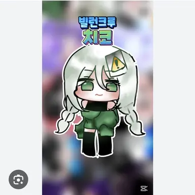 Profile image of 치코