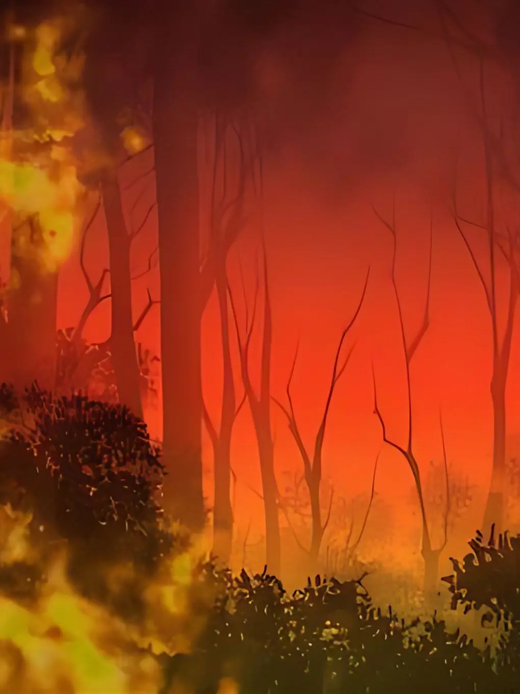 karina_tiktok215의 N社のシンクレアとファウスト