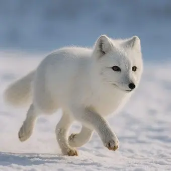 Profile image of 박여우