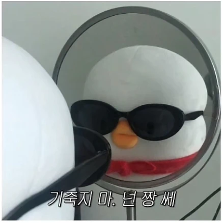 힙한오리