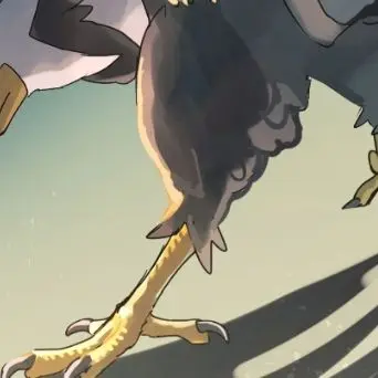 Profile image of ムクホーク