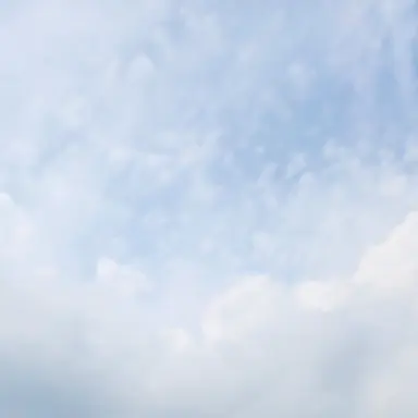 Profile image of 이방