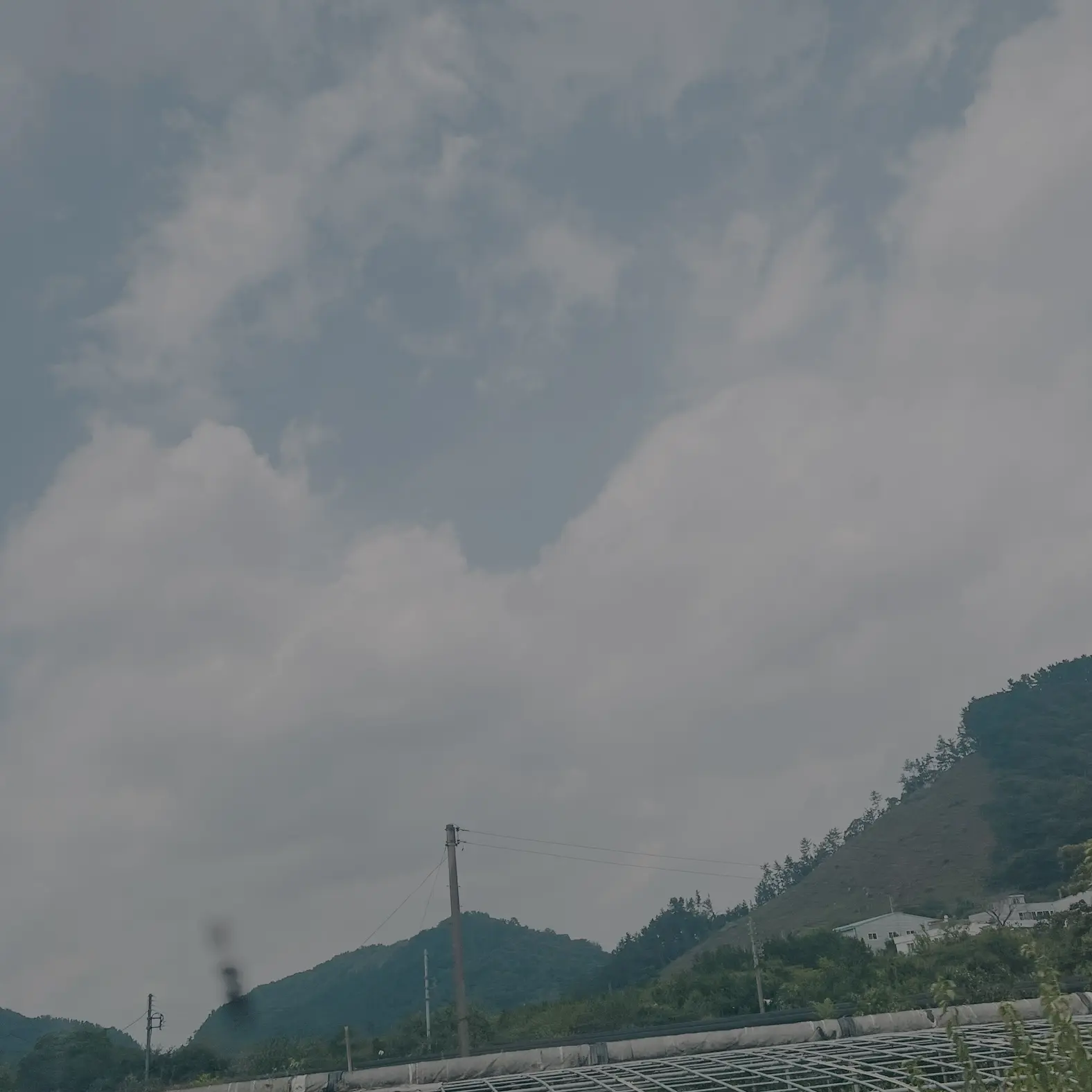 UNl.T_0911의 정부군에게 잡힌 아카이로류
