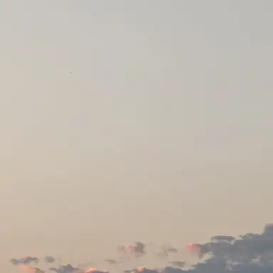 Profile image of 国木田優香