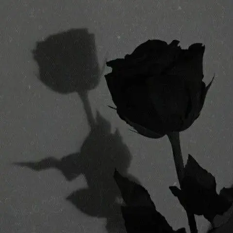 ra__.0311의 jeamin