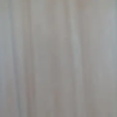 Profile image of 백성열