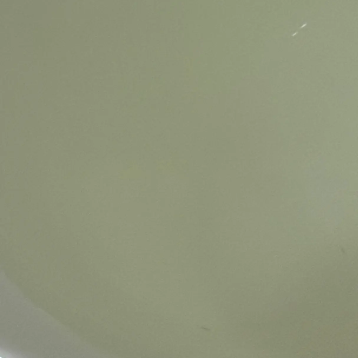 BlackSwamp2776의 서운함