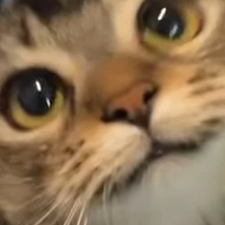 현재민