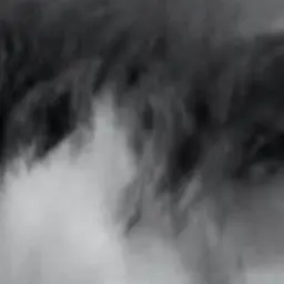 ClearFez9443의 겁나심한 얼빠밖에 없는세상,