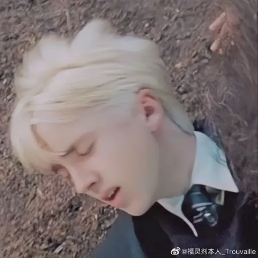 NumbLyre0905의 드레이코 말포이