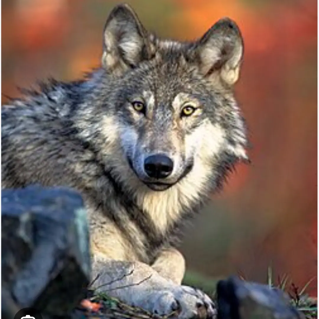 SlickWage3073의 귀살대