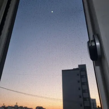 Profile image of 여우