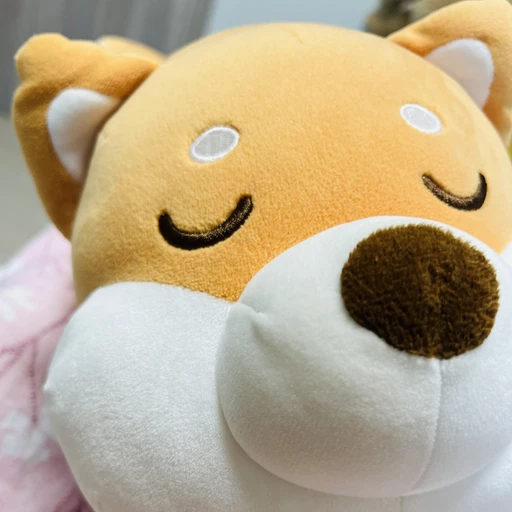 땡땡견
