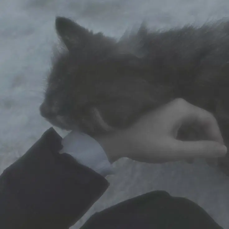 Yu_oo의 感覚共有