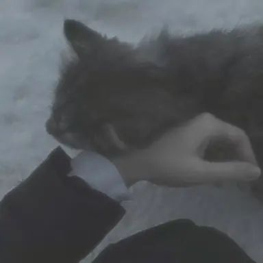 Profile image of 叢雲カゲツ